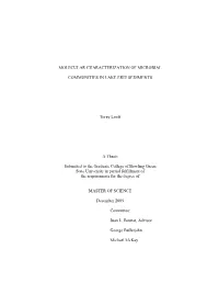Molecular Characterization of Microbial Communities In