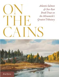 On the Cains and the Is a River of Consistently Moderate Flows