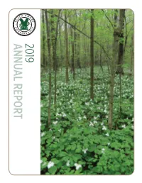 2019Annual Report