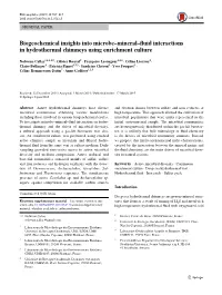 Biogeochemical Insights Into Microbe–Mineral–Fluid Interactions in Hydrothermal Chimneys Using Enrichment Culture