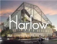 Harlowhpp.Com a Hidden Gem in the Heart of Hollywood