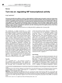 Turn Me On: Regulating HIF Transcriptional Activity