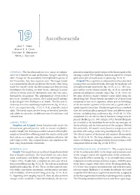 Ascothoracida