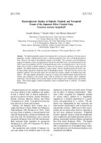 Electrophoretic Studies of Diploid, Triploid, and Tetraploid Forms of the Japanese Silver Crucian Carp, Carassius Auratus Langsdorfii