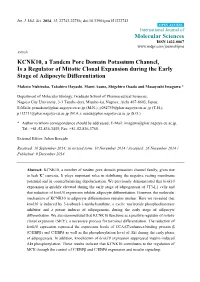 KCNK10, a Tandem Pore Domain Potassium Channel, Is a Regulator of Mitotic Clonal Expansion During the Early Stage of Adipocyte Differentiation
