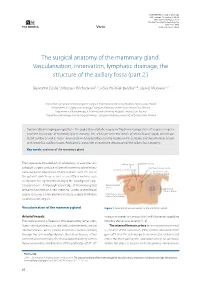 The Surgical Anatomy of the Mammary Gland. Vascularisation, Innervation, Lymphatic Drainage, the Structure of the Axillary Fossa (Part 2.)