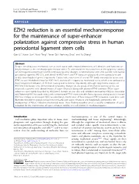 EZH2 Reduction Is an Essential Mechanoresponse for The