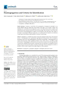 Haemogregarines and Criteria for Identification