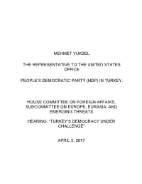 Mehmet Yuksel the Representative to The