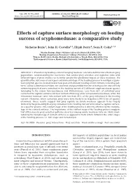 Effects of Capture Surface Morphology on Feeding Success of Scyphomedusae: a Comparative Study