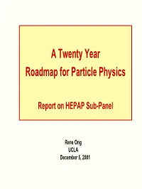 A Twenty Year Roadmap for Particle Physics