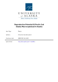 Reproductive Potential of Pacific Cod (Gadus Macrocephalus) in Alaska