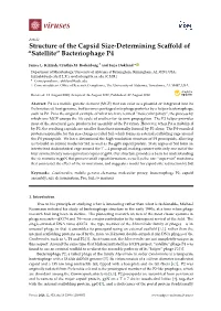 Structure of the Capsid Size-Determining Scaffold Of