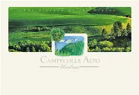 Umbria Live the View