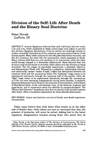 Division of the Self: Life After Death and the Binary Soul Doctrine