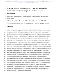 Overexpression of Key Sterol Pathway Enzymes in Two Model Marine