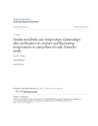 Similar Metabolic Rate-Temperature Relationships After Acclimation at Constant and Fluctuating Temperatures in Caterpillars of a Sub-Antarctic Moth