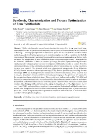 Synthesis, Characterization and Process Optimization of Bone Whitlockite