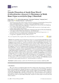 Genetic Dissection of Azuki Bean Weevil (Callosobruchus Chinensis L.) Resistance in Moth Bean (Vigna Aconitifolia [Jaqc.] Maréchal)