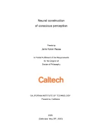Neural Construction of Conscious Perception