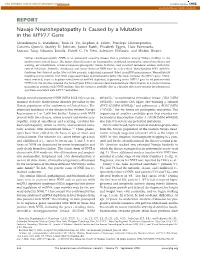REPORT Navajo Neurohepatopathy Is Caused by a Mutation in the MPV17 Gene