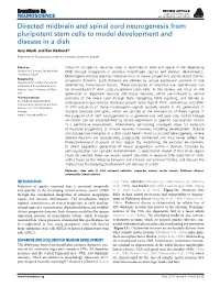 Directed Midbrain and Spinal Cord Neurogenesis from Pluripotent Stem Cells to Model Development and Diseaseinadish