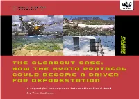 The Clearcut Case: How the Kyoto Protocol Could Become a Driver For