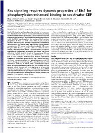 Ras Signaling Requires Dynamic Properties of Ets1 for Phosphorylation-Enhanced Binding to Coactivator CBP