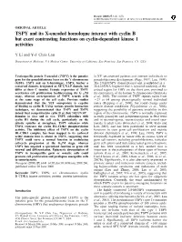 TSPY and Its X-Encoded Homologue Interact with Cyclin B but Exert Contrasting Functions on Cyclin-Dependent Kinase 1 Activities