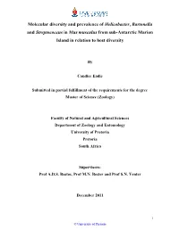 Title: Bartonella Dynamics in Indigenous