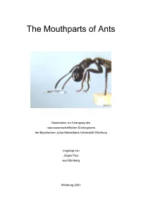 Dissertation Zur Erlangung Des Naturwissenschaftlichen Doktorgrades Der Bayerischen Julius-Maximilians-Universität Würzburg Vo