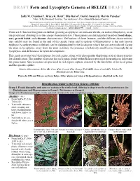 DRAFT Fern and Lycophyte Genera of BELIZE DRAFT 1