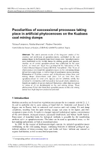 Peculiarities of Successional Processes Taking Place in Artificial Phytocenoses on the Kuzbass Coal Mining Dumps