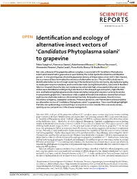 Identification and Ecology of Alternative Insect Vectors Of