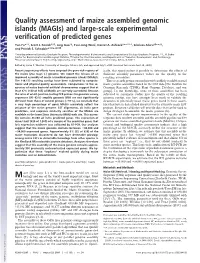 Quality Assessment of Maize Assembled Genomic Islands (Magis) and Large-Scale Experimental Verification of Predicted Genes