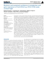 Rhythmic and Sustained Oscillations in Metabolism and Gene Expression of Cyanothece Sp