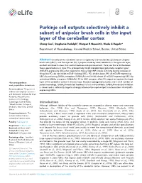 Purkinje Cell Outputs Selectively Inhibit a Subset of Unipolar Brush Cells In