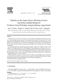 Salinity As the Major Factor Affecting Scirpus Maritimus Annual Dynamics Evidence from Field Data and Greenhouse Experiment
