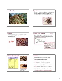 Insect Sociality Objectives Introduction Eusocial Versus Subsocial