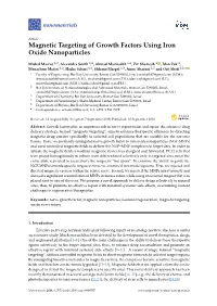 Magnetic Targeting of Growth Factors Using Iron Oxide Nanoparticles