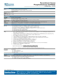 Recombinant Human Phosphodiesterase 4A/PDE4A