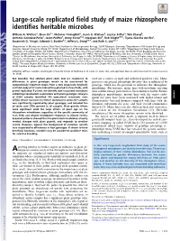 Large-Scale Replicated Field Study of Maize Rhizosphere Identifies Heritable Microbes