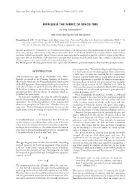 Ripples in the Fabric of Space-Time