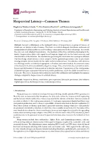 Herpesviral Latency—Common Themes