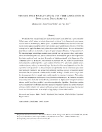 Mixture Inner Product Spaces and Their Application to Functional Data Analysis