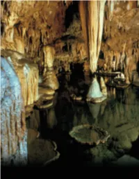2005 MO Cave Comm.Pdf