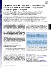 Expansions, Diversification, and Interindividual Copy Number