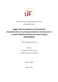 Single-Cell Transcriptomic and Functional Characterization Of