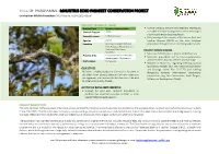 TITLE of PROGRAMME: MAURITIUS ECHO PARAKEET CONSERVATION PROJECT by Mauritian Wildlife Foundation [NCSR Reg No: NCSRF/2017/0158]