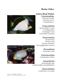 Active Reef Fishes Chaetodontidae Chaetodon Fremblii Chaetodon Tinkeri Prognathodes Sp